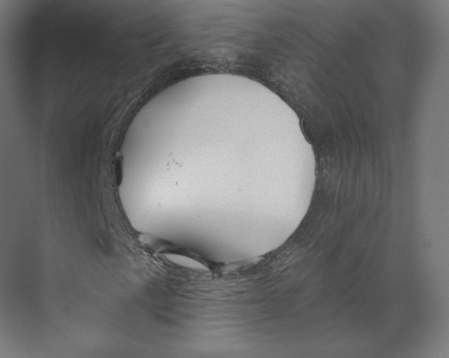 X0000073851057200609071601