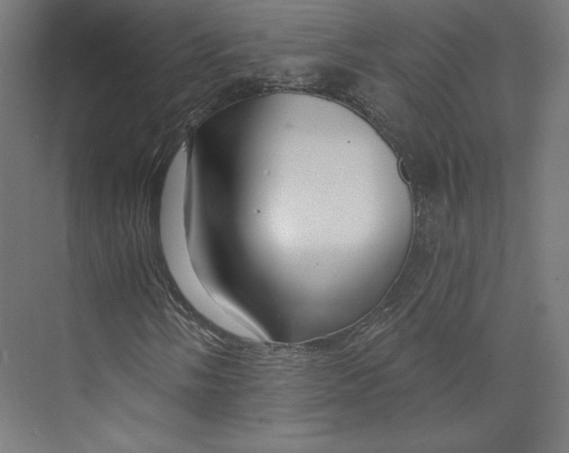 X0000073851058200609071601