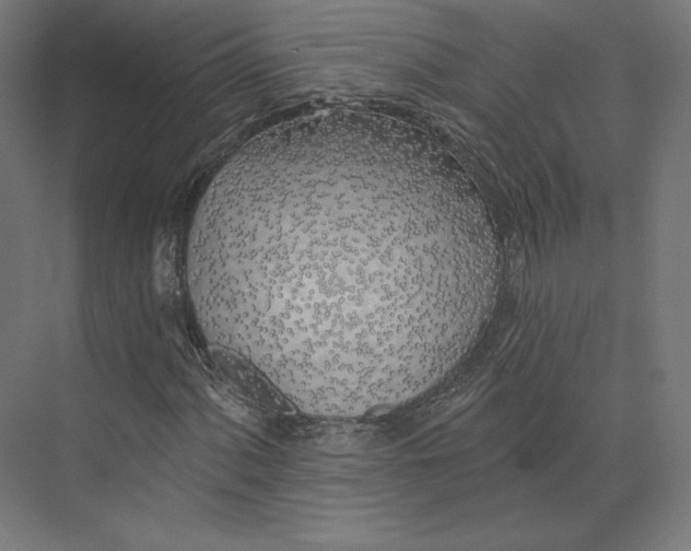 X0000073851060200609071601