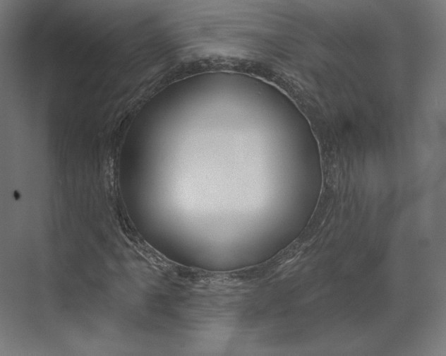 X0000073851061200609071601