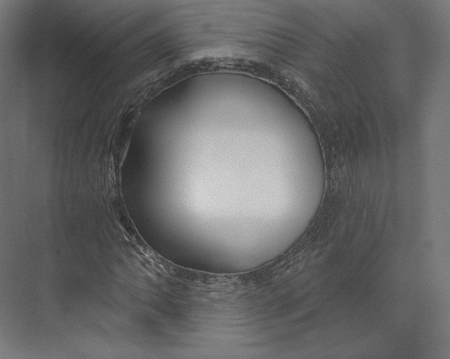 X0000073851062200609071601