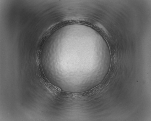 X0000073851064200609071601