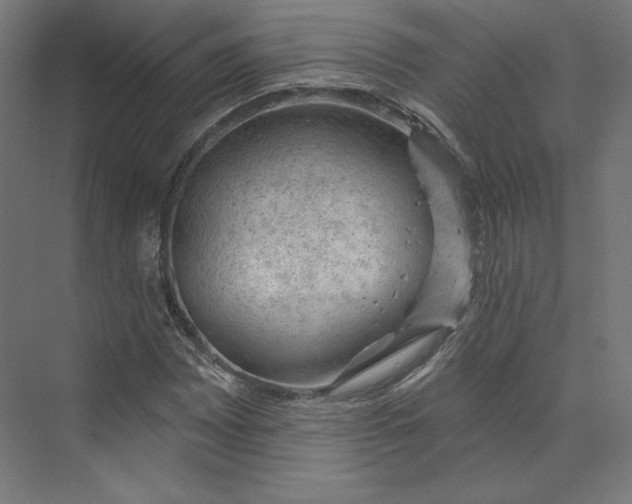 X0000073851065200609071601