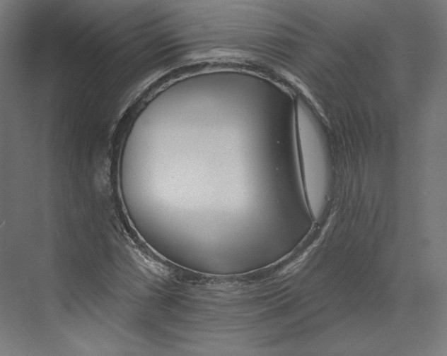 X0000073851066200609071601