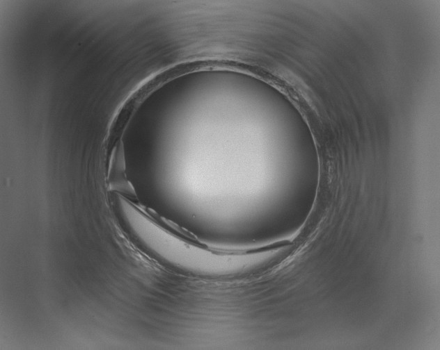 X0000073851069200609071601