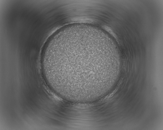 X0000073851071200609071601