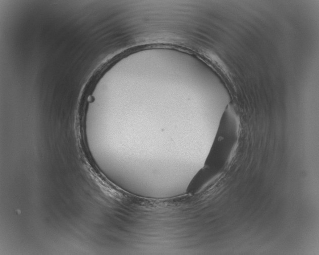 X0000073851072200609071601