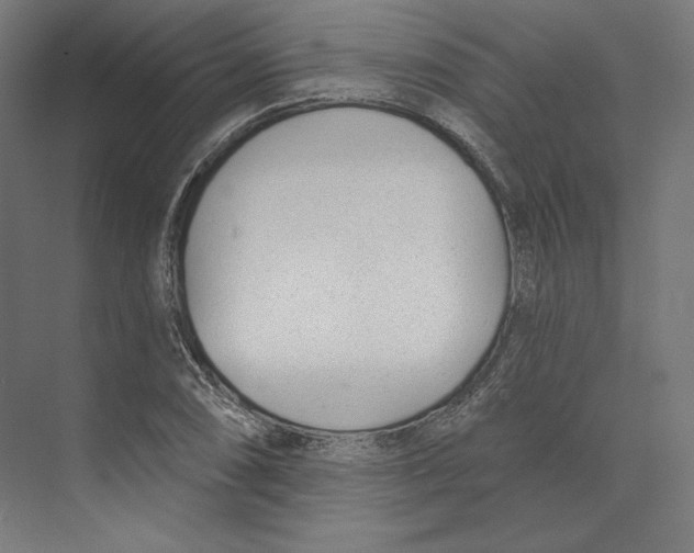 X0000073851074200609071601