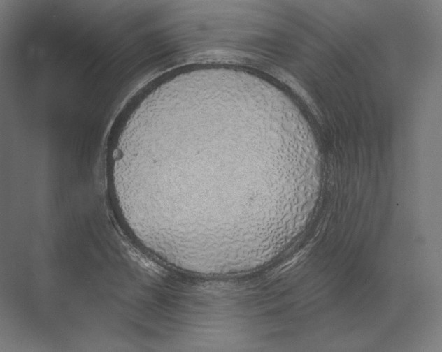 X0000073851075200609071601