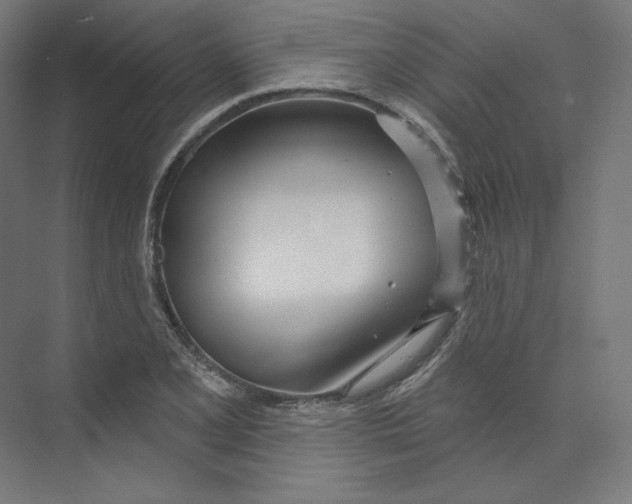 X0000073851077200609071601