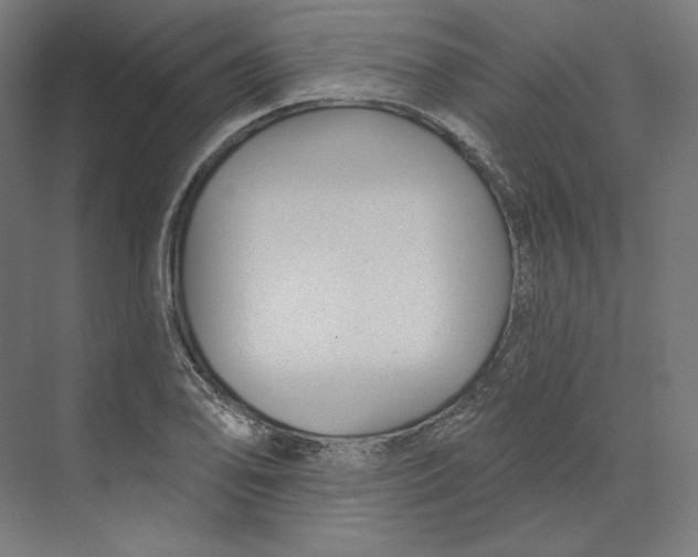 X0000073851078200609071601