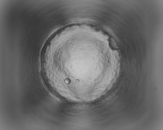 X0000073851079200609071601