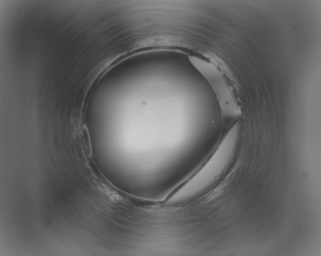 X0000073851081200609071601