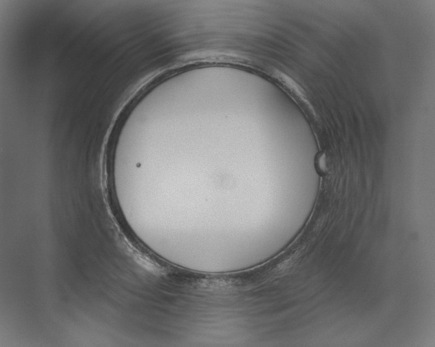 X0000073851082200609071601