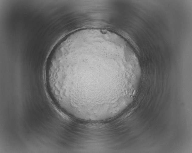 X0000073851083200609071601