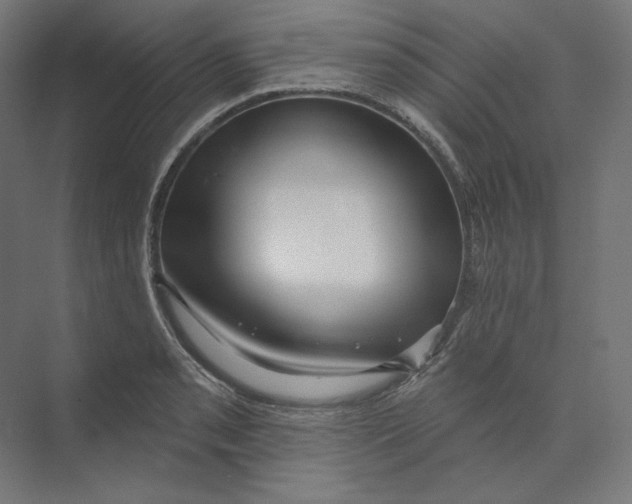 X0000073851085200609071601