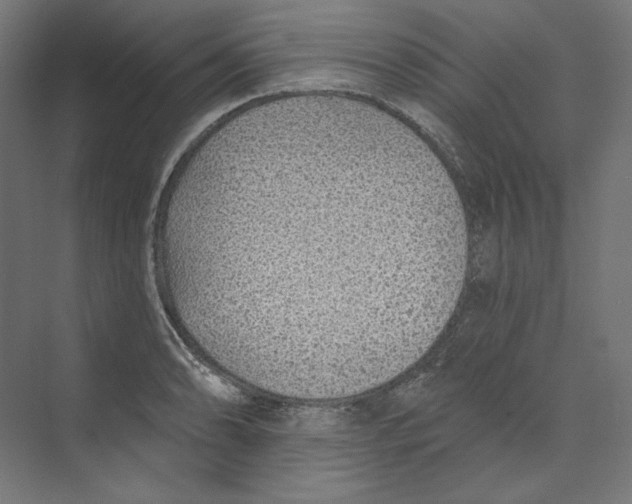 X0000073851086200609071601