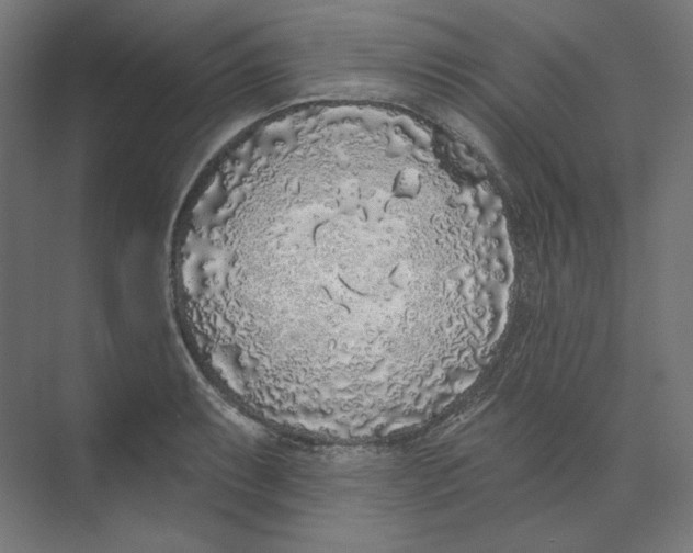 X0000073851087200609071601