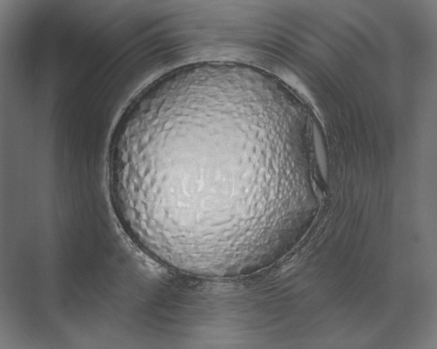 X0000073851088200609071601