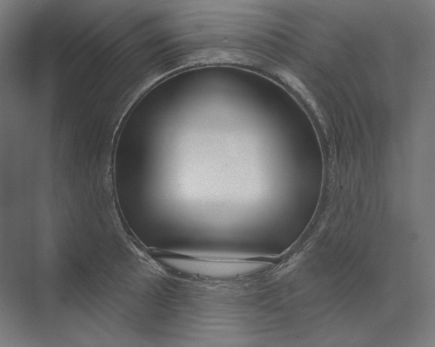 X0000073851089200609071601