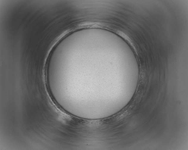 X0000073851090200609071601