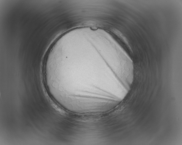 X0000073851091200609071601