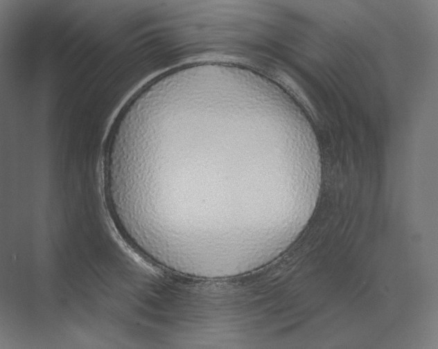 X0000073851092200609071601