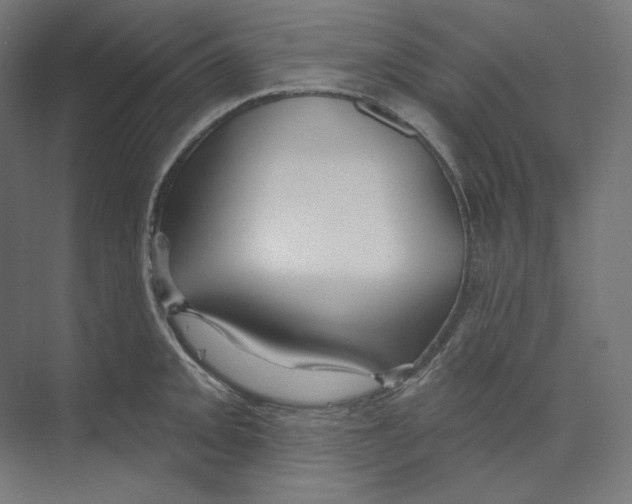 X0000073851093200609071600