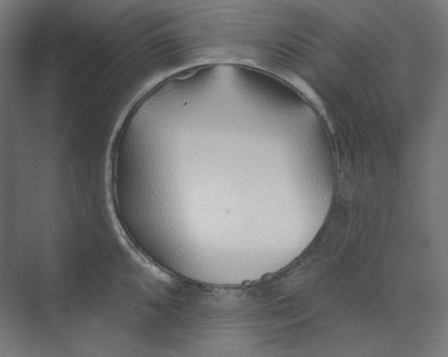 X0000073851096200609071600