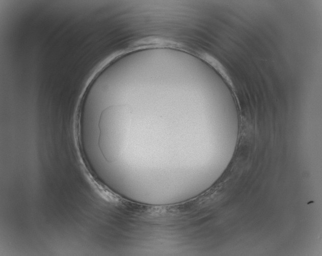 X0000073851098200609071600