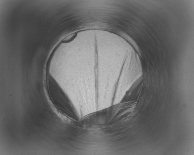 X0000073851099200609071600