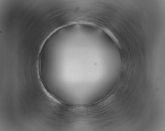 X0000073851100200609071600