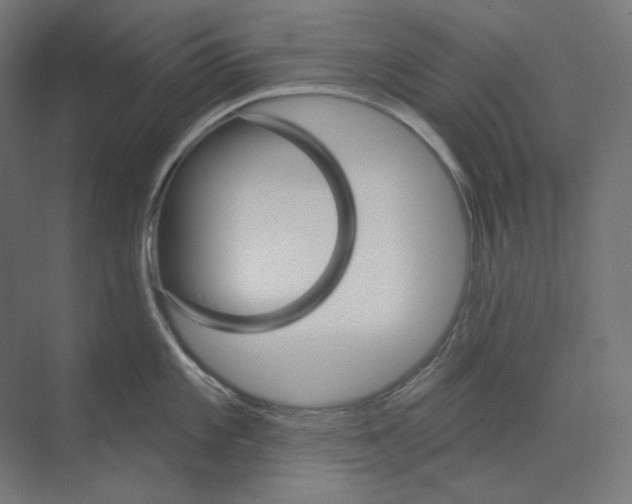 X0000073851101200609071600