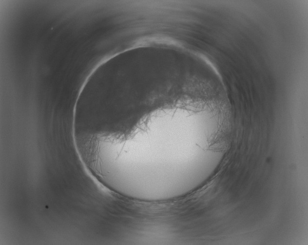 X0000073851103200609071600