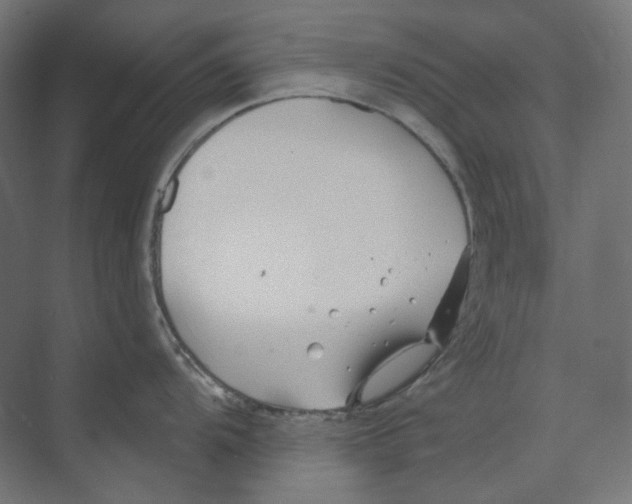 X0000073851104200609071600