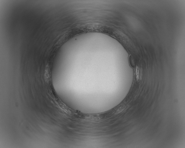 X0000073851107200609071600