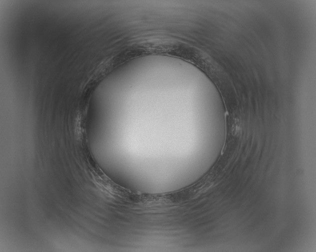 X0000073851108200609071600