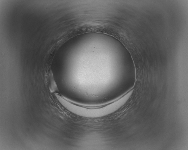 X0000073851109200609071600