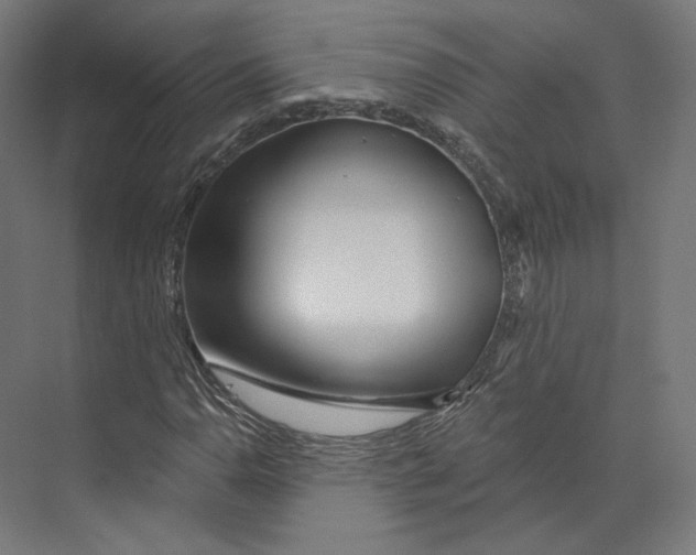 X0000073851110200609071600