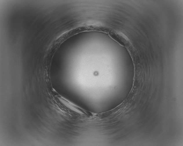 X0000073851112200609071600