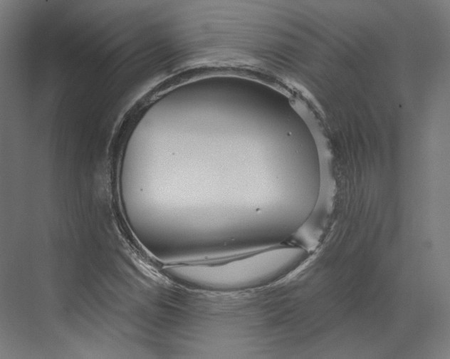 X0000073851114200609071600