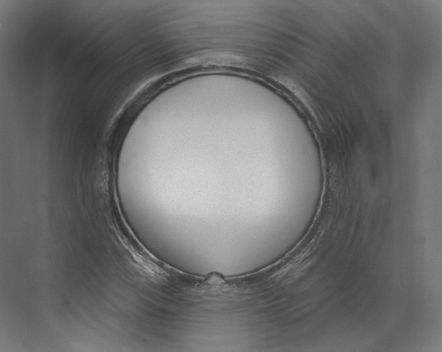 X0000073851115200609071600