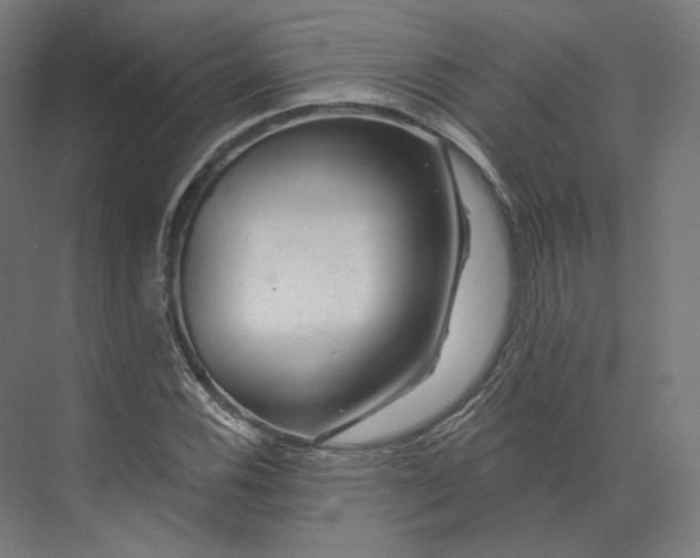 X0000073851116200609071600