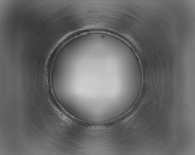 X0000073851118200609071600