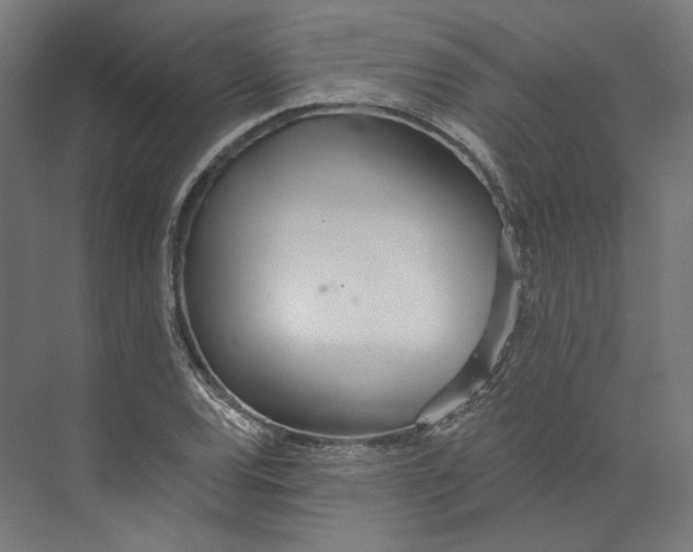 X0000073851120200609071600