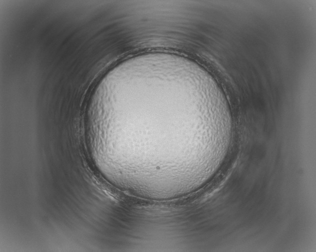 X0000073851121200609071600