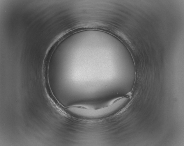 X0000073851122200609071600