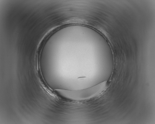 X0000073851123200609071600