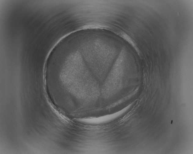 X0000073851124200609071600