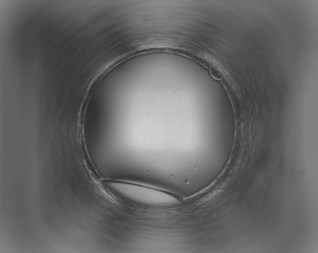 X0000073851129200609071600